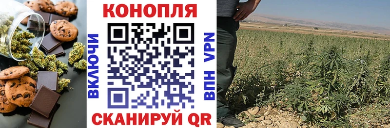 где купить   Завитинск  Печенье с ТГК конопля 